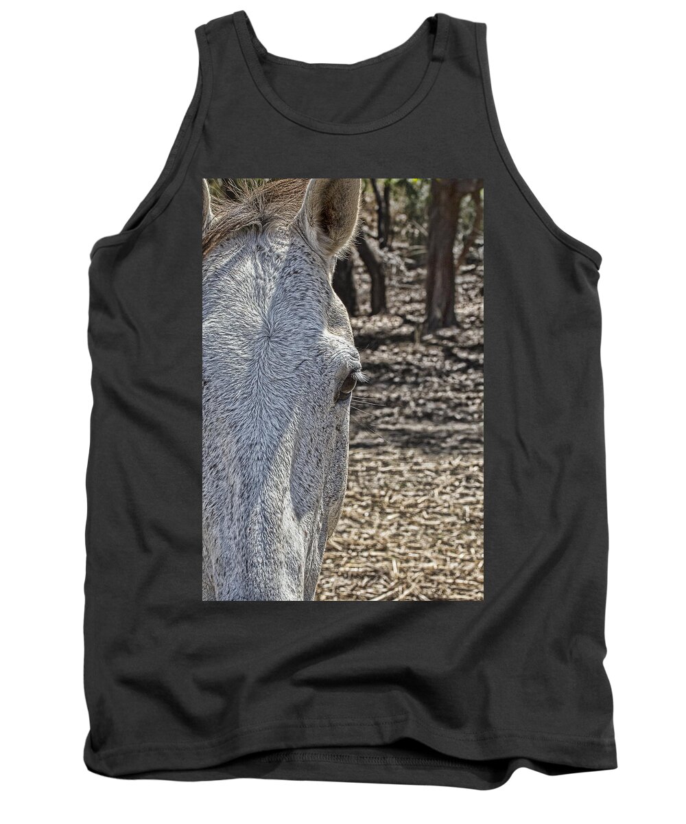 Horse Tank Top featuring the photograph Horse with no Name V2 by Douglas Barnard