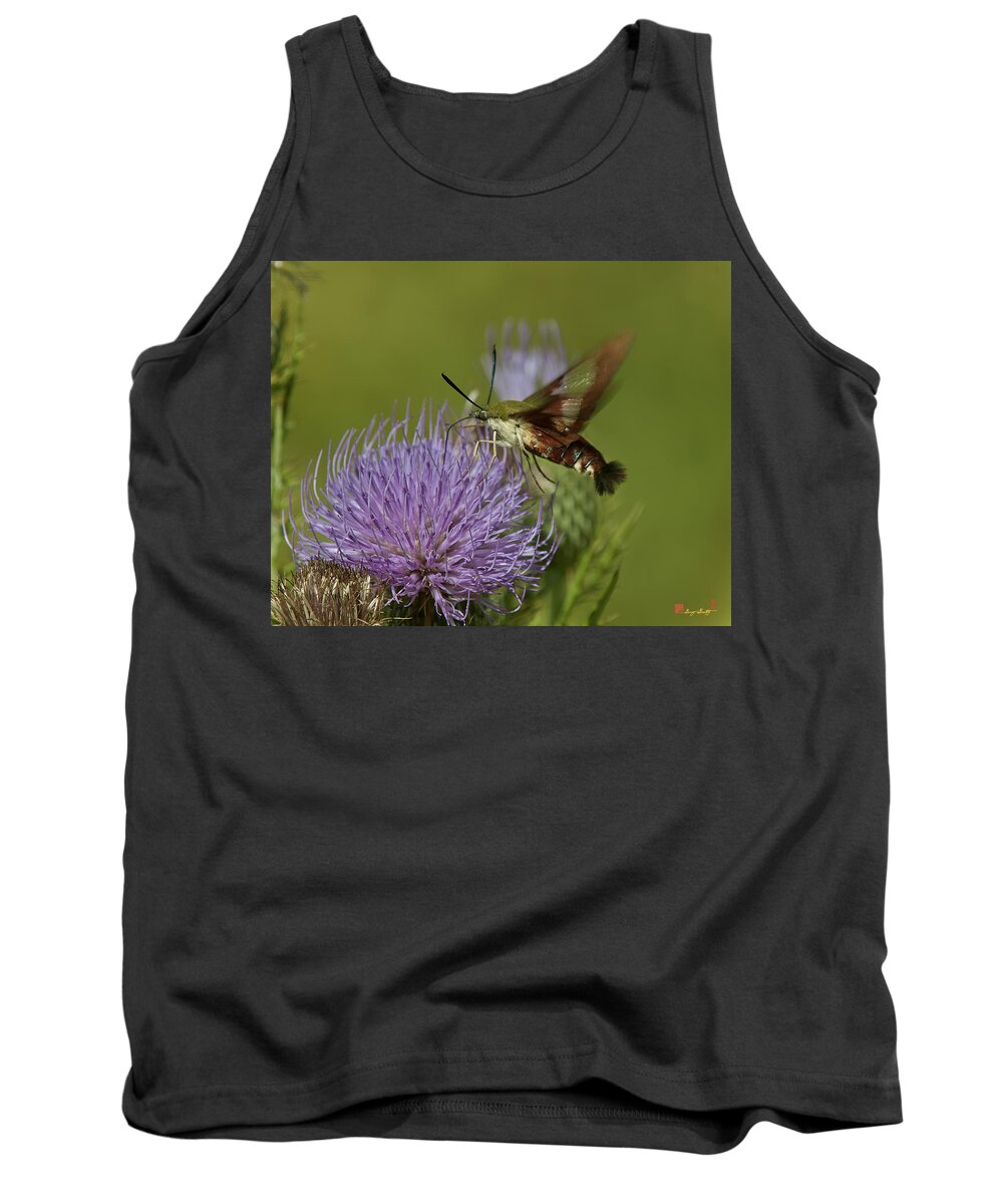 Nature Tank Top featuring the photograph Hummingbird or Clearwing Moth DIN178 by Gerry Gantt