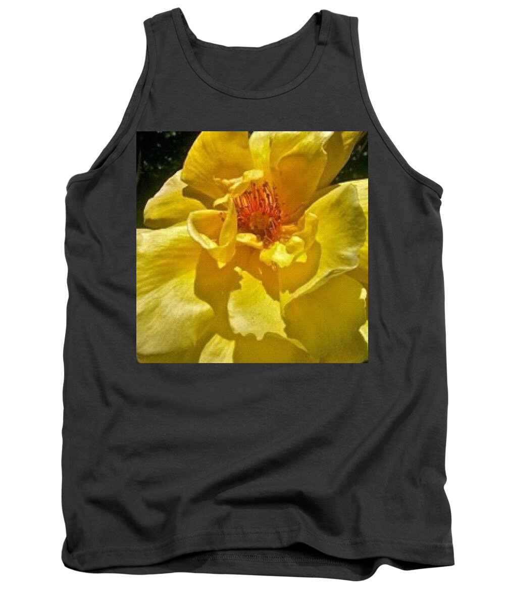 Floralstyles_gf Tank Top featuring the photograph Joyful Noise #sunny #yellow #rose by Anna Porter