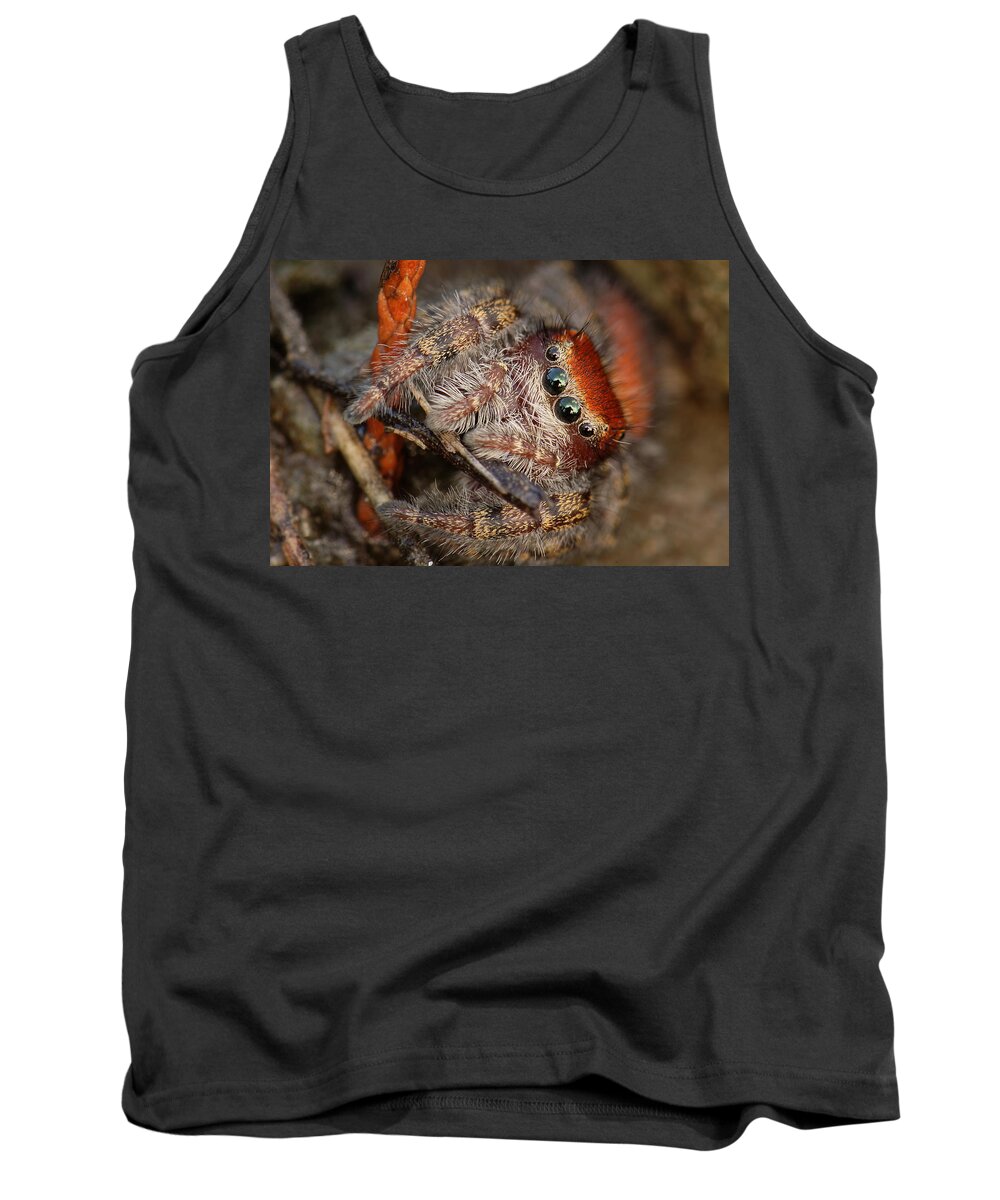 Phidippus Cardinalis Tank Top featuring the photograph Jumping Spider Portrait by Daniel Reed