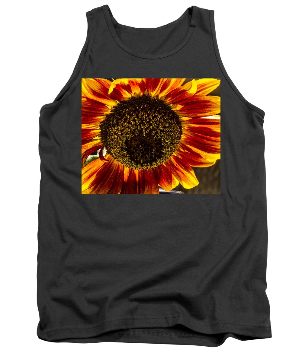 Color Tank Top featuring the photograph Kitchen flower by Jean Noren