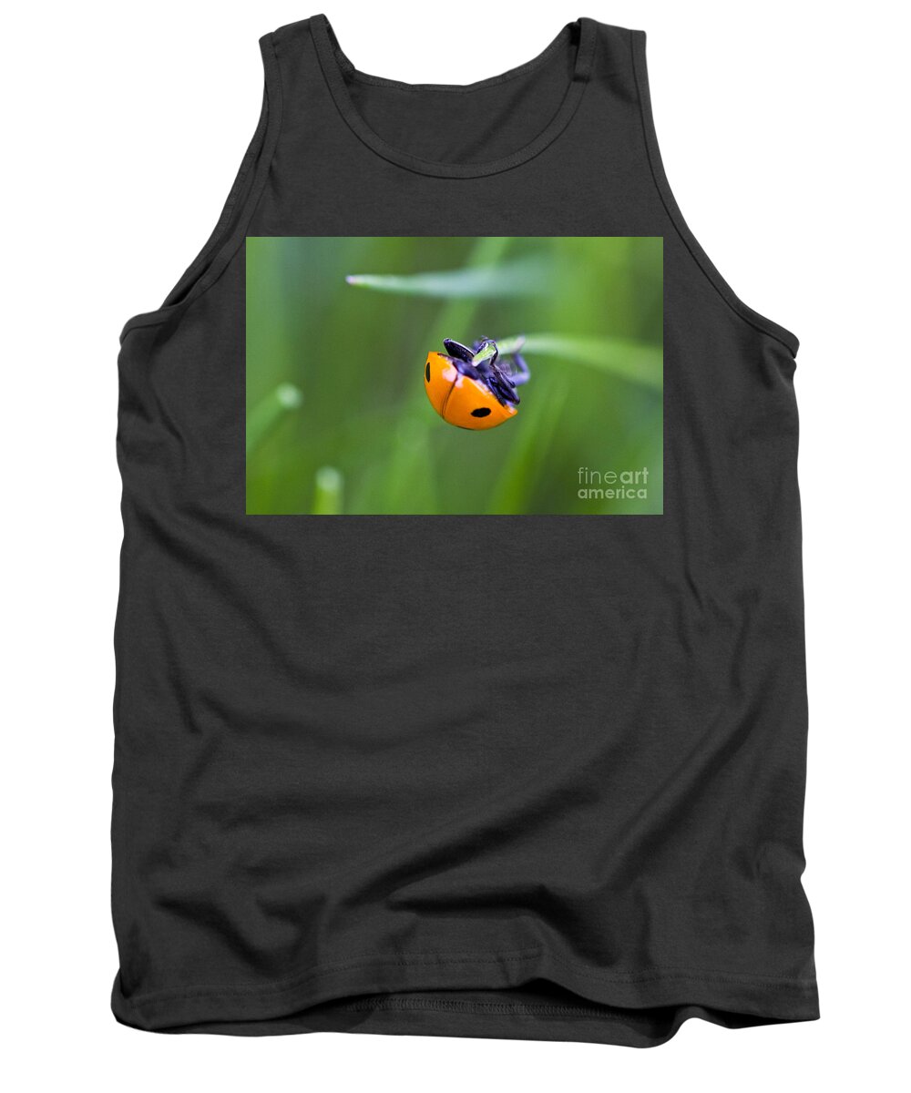 Landscape Tank Top featuring the photograph Ladybug Topsy Turvy by Donna L Munro