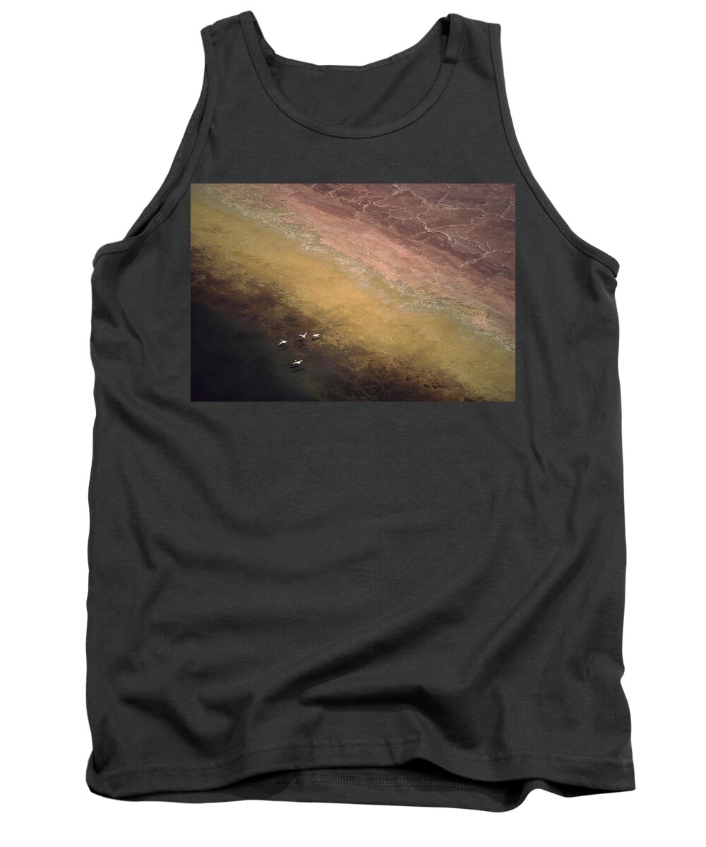 00172138 Tank Top featuring the photograph Lesser Flamingo Flock Of Four Flying by Tim Fitzharris