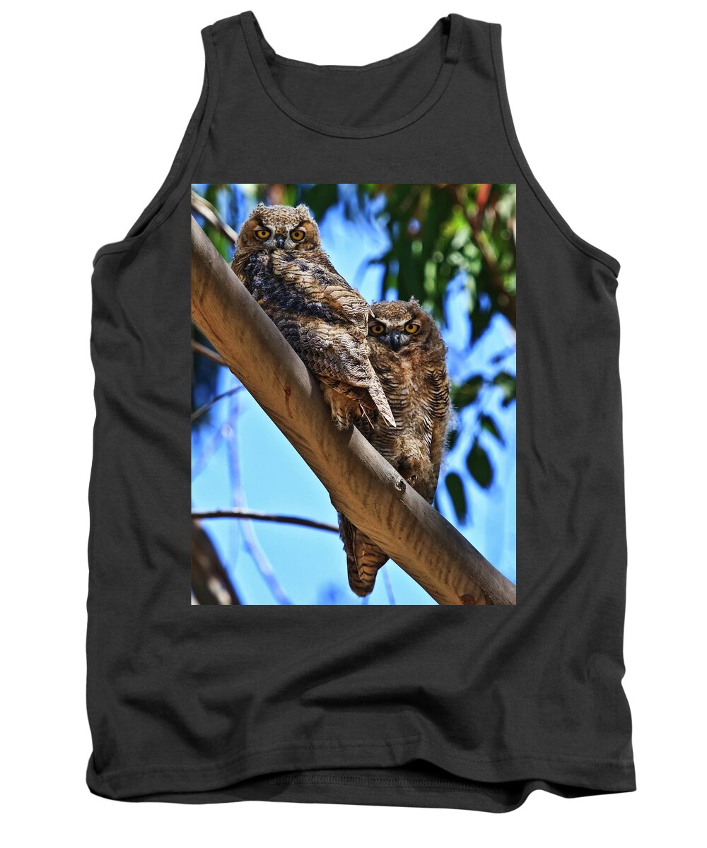 Owl Tank Top featuring the photograph Lifes a Hoot by Beth Sargent