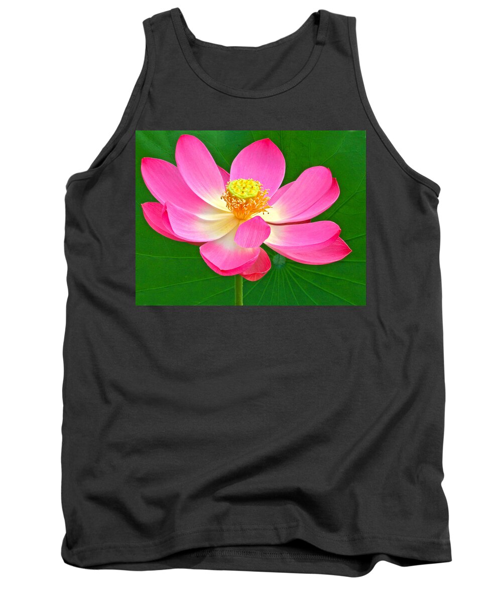 Flower Tank Top featuring the photograph Lotus by Jean Noren