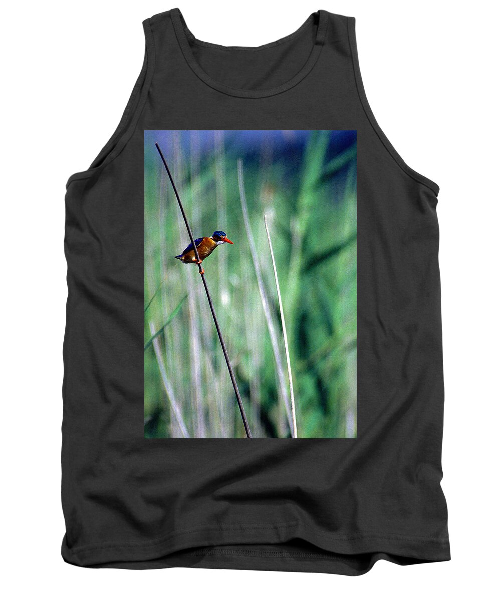 Africa Tank Top featuring the photograph Malachite by Alistair Lyne