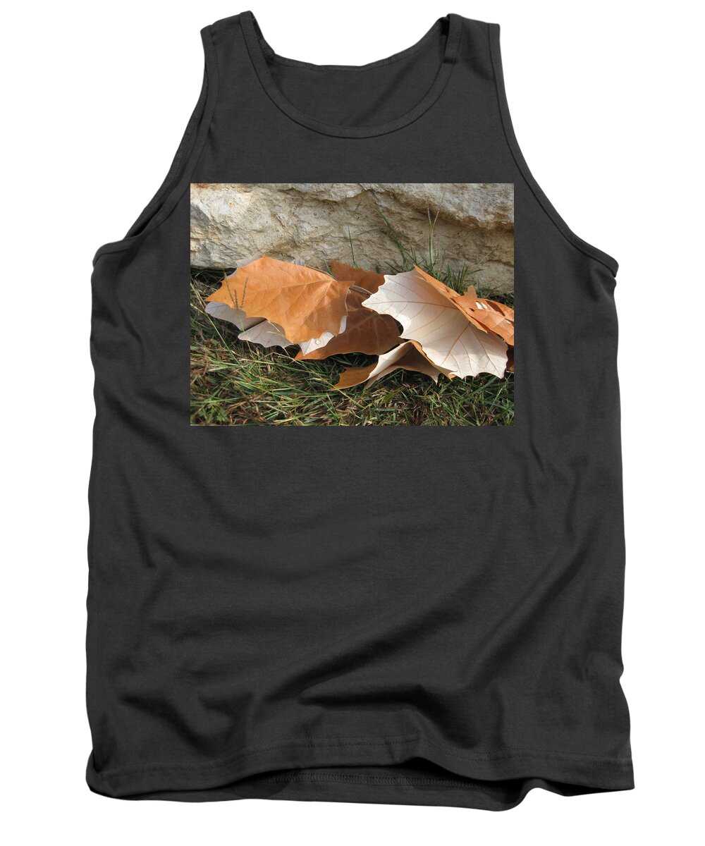 Maple Leaf Tank Top featuring the photograph Maple Leaves Contrasted by Cindy Clements