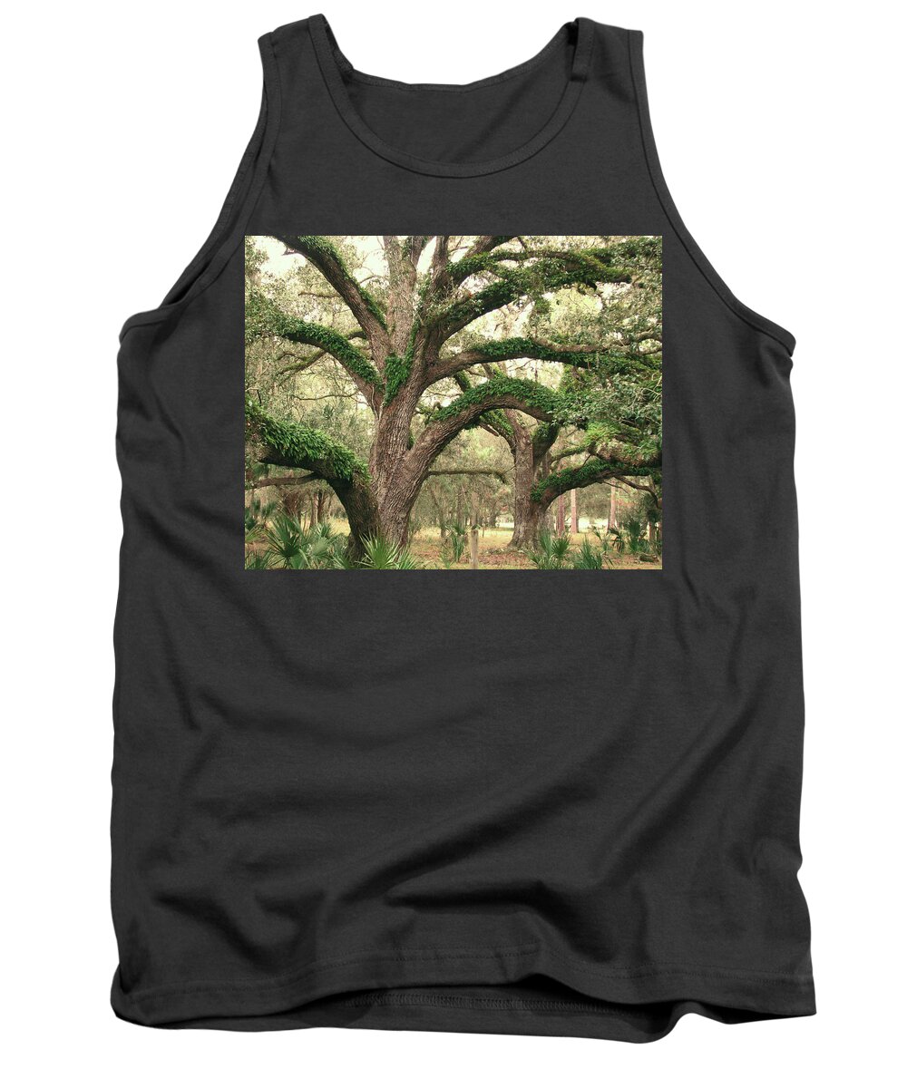 Nature Tank Top featuring the photograph Mighty Oaks by Peggy Urban