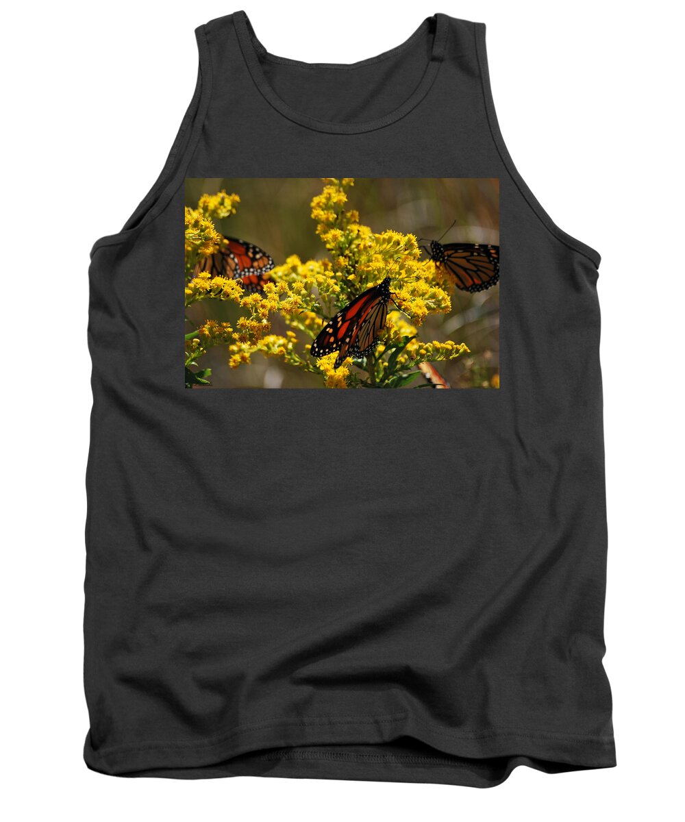 Monarch Tank Top featuring the photograph Monarchs on Yellow by Lori Tambakis