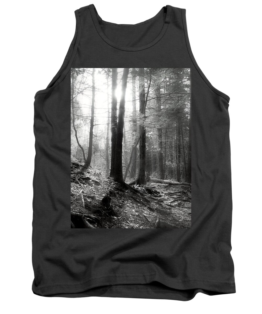 Sunlight Tank Top featuring the photograph Morning Sun by Mary Almond
