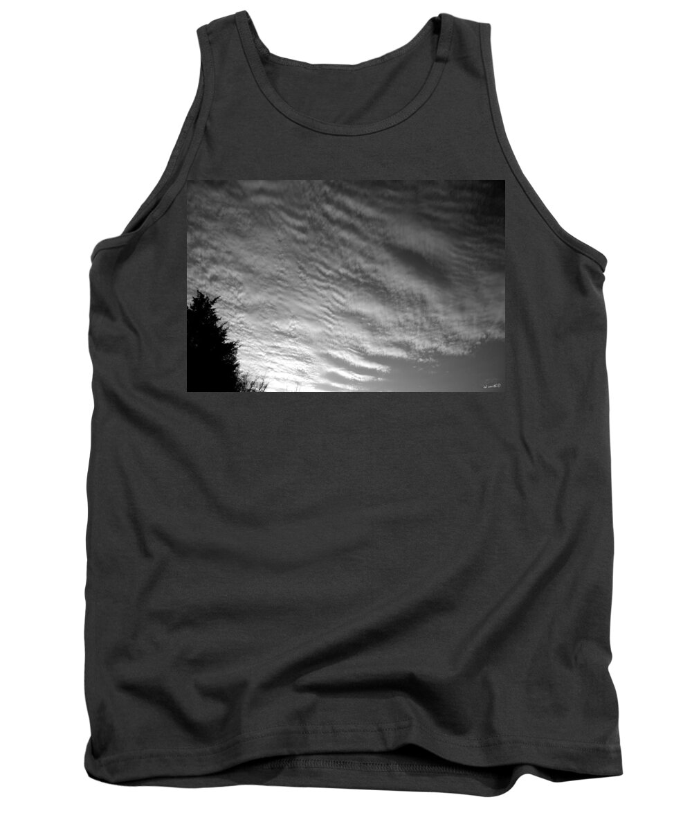 Never Green Tank Top featuring the photograph Never Green by Edward Smith