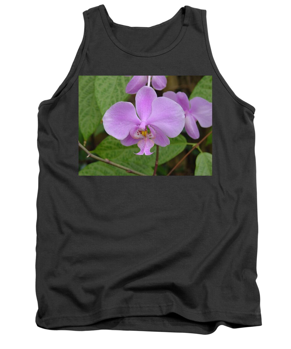 Orchid Tank Top featuring the photograph Pale Pink Orchid by Charles and Melisa Morrison