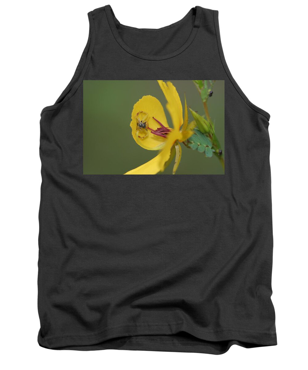 Partridge Pea Tank Top featuring the photograph Partridge Pea And Matching Crab Spider With Prey by Daniel Reed