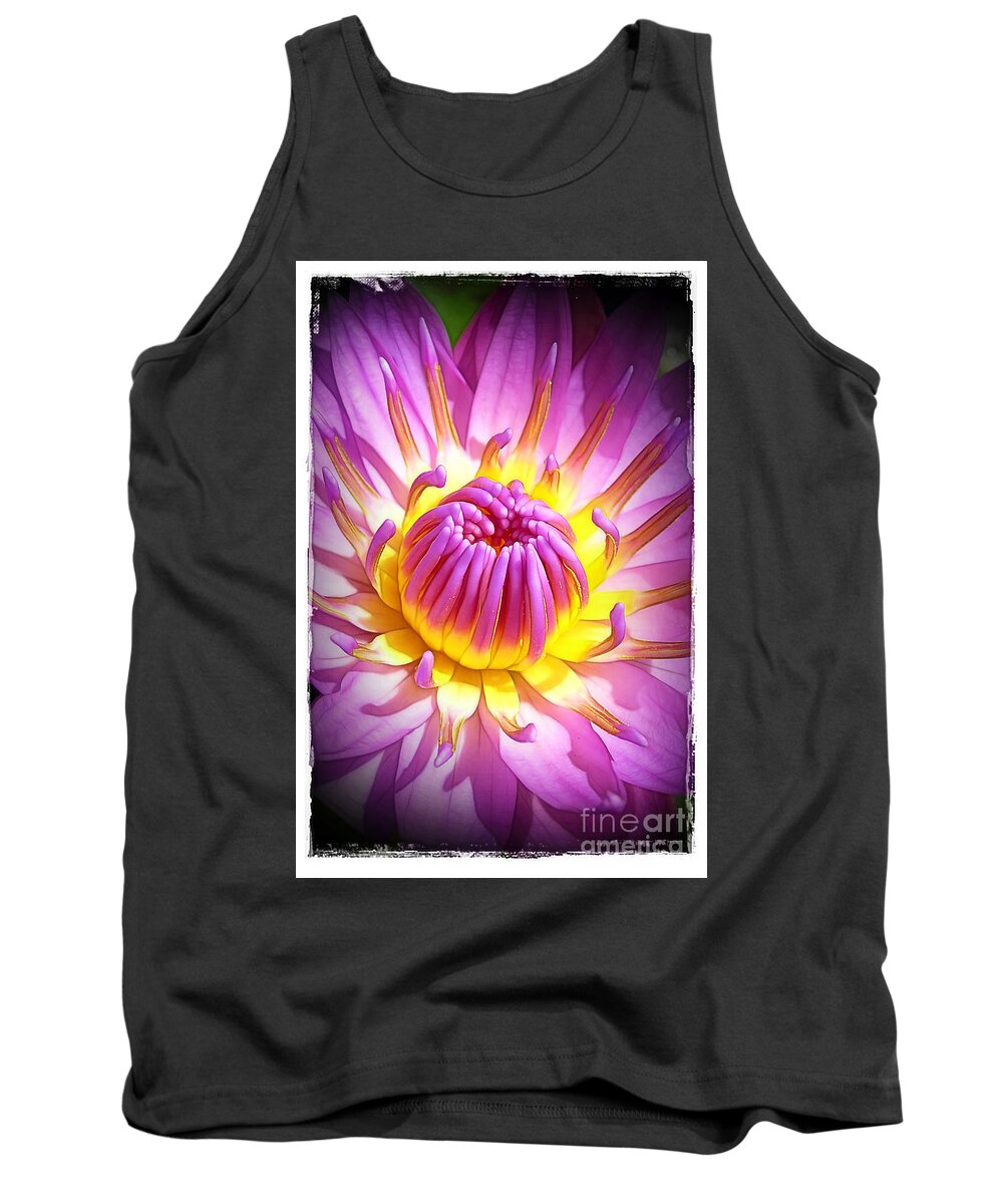 Water Tank Top featuring the photograph Pink and Yellow Water Lily by Judi Bagwell