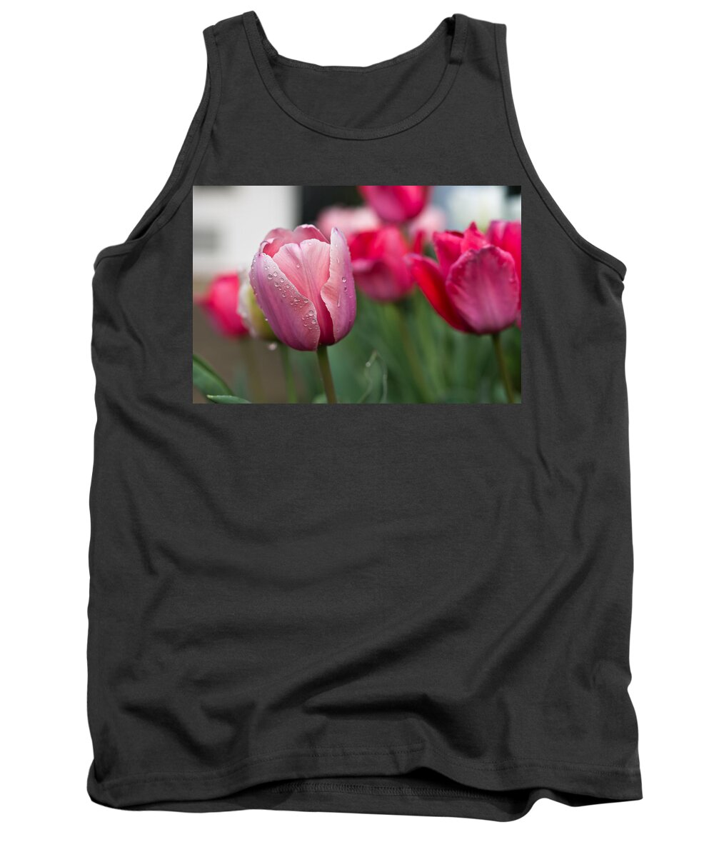 Dew Tank Top featuring the photograph Pink Tulips with Water Drops by Lori Coleman