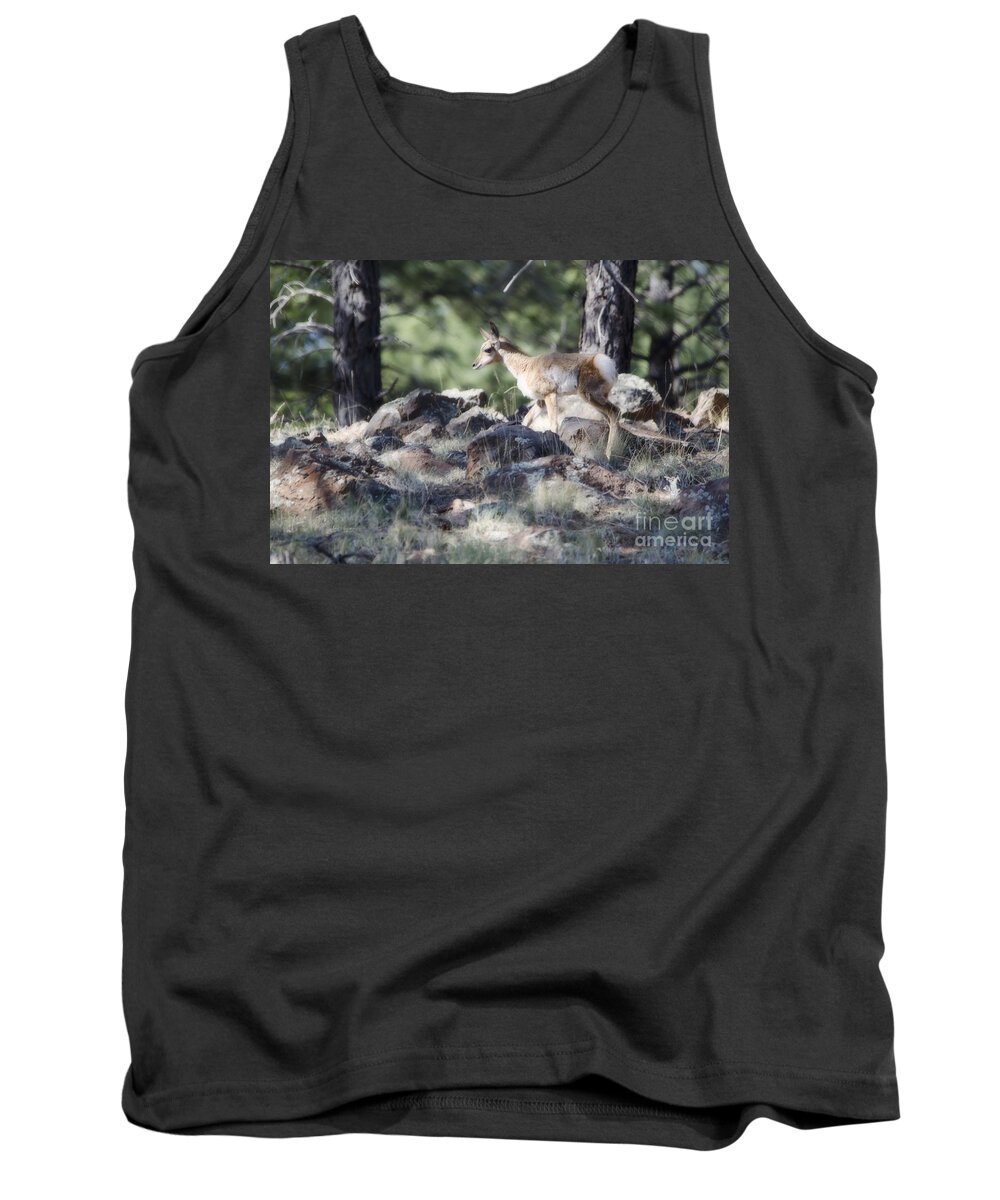 Fine Art Tank Top featuring the photograph Pronghorn Antelope Fawn by Donna Greene