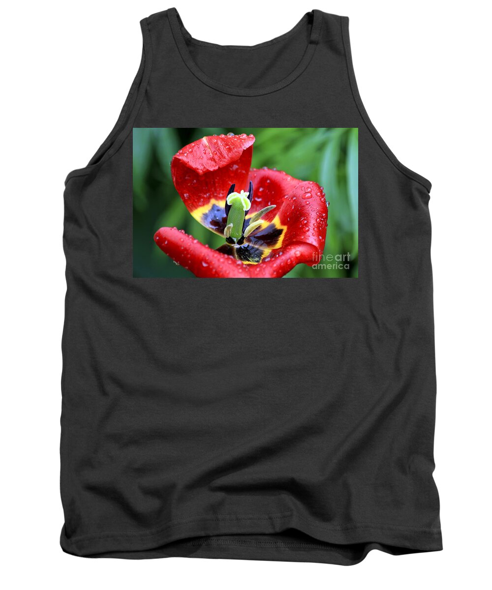 Flower Tank Top featuring the photograph Rain Kissed by Teresa Zieba