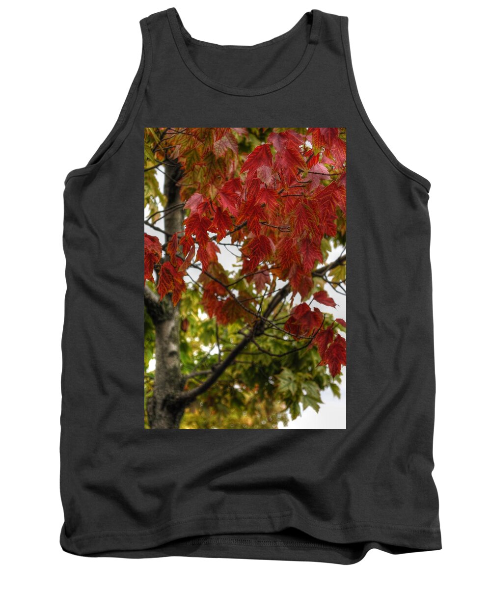  Tank Top featuring the photograph Red and Green Prior X-Mas by Michael Frank Jr