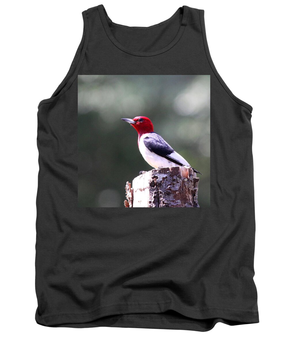 Red-headed Woodpecker Tank Top featuring the photograph Red-headed Woodpecker - Statue by Travis Truelove