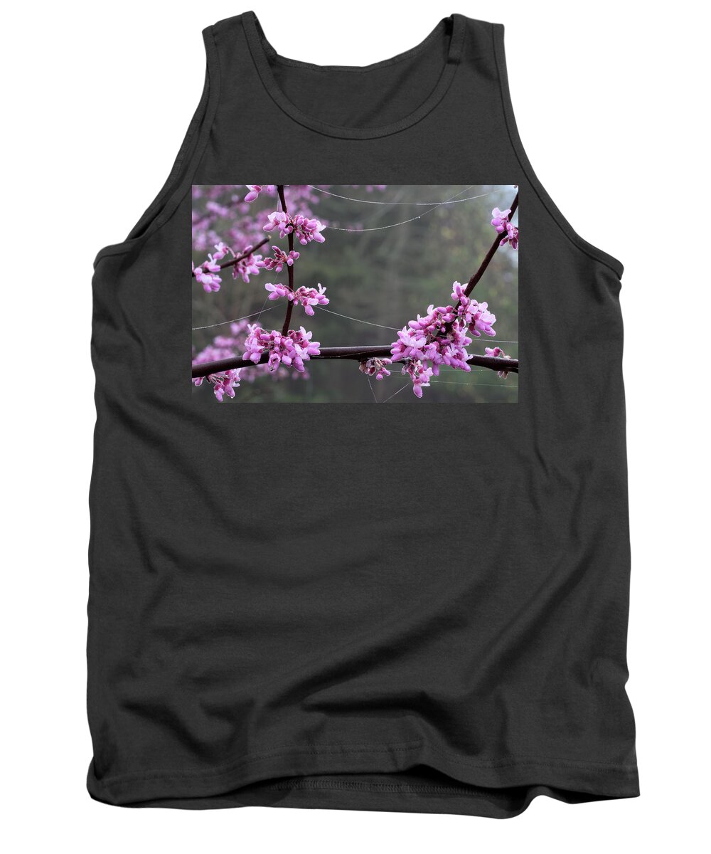 Cercis Canadensis Tank Top featuring the photograph Redbud With Webs And Dew by Daniel Reed
