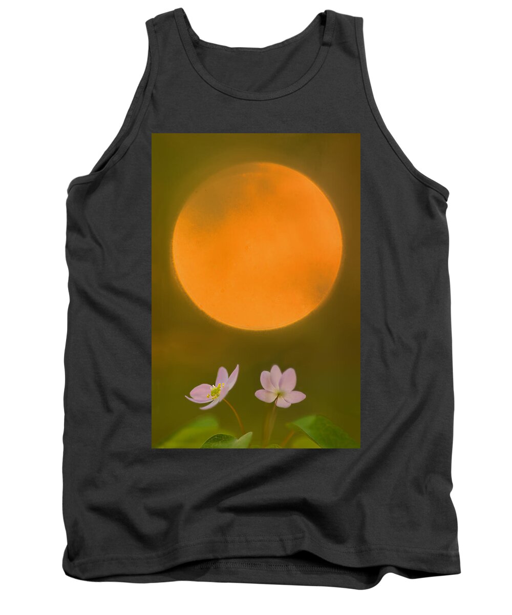 2012 Tank Top featuring the photograph Rue Anemone and the Rising Sun by Robert Charity