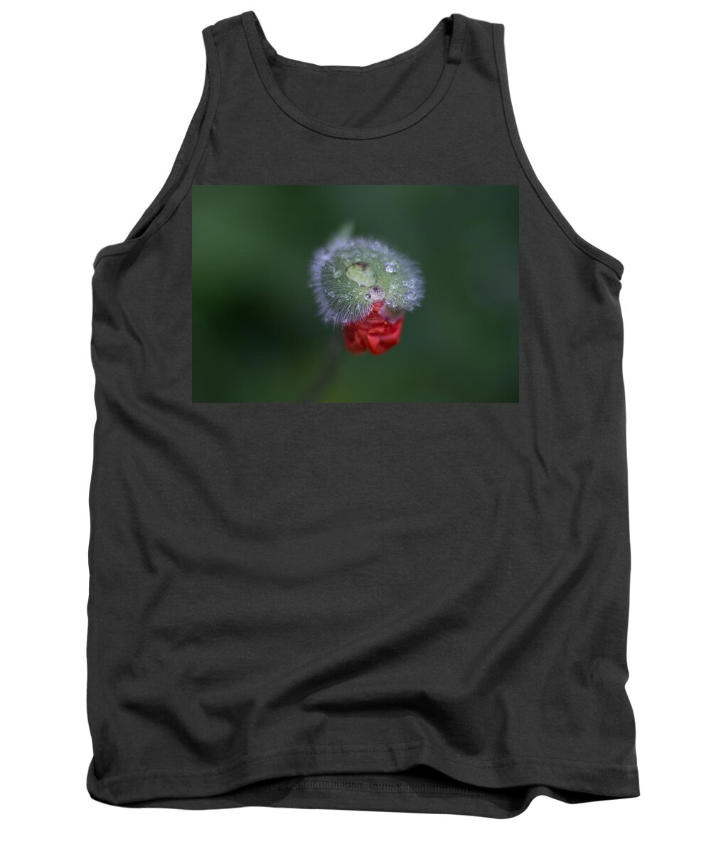 Poppy Tank Top featuring the photograph Sequel by Jakub Sisak