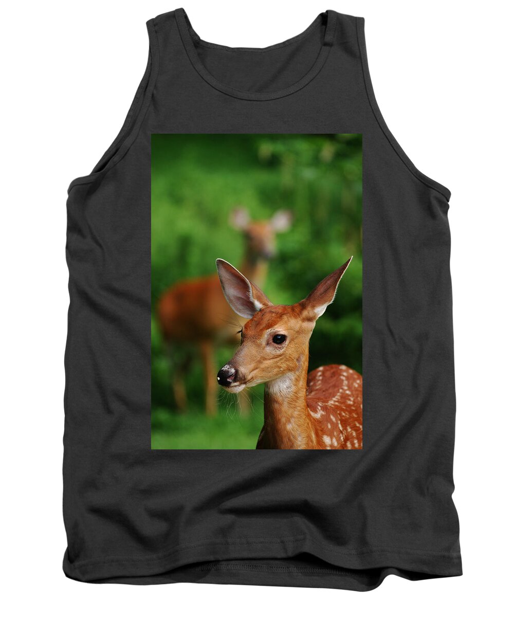 Deer Tank Top featuring the photograph Someone to Watch Over Me by Lori Tambakis