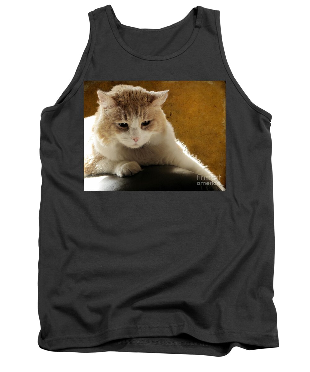 Cat Tank Top featuring the photograph Squishy by Ellen Cotton