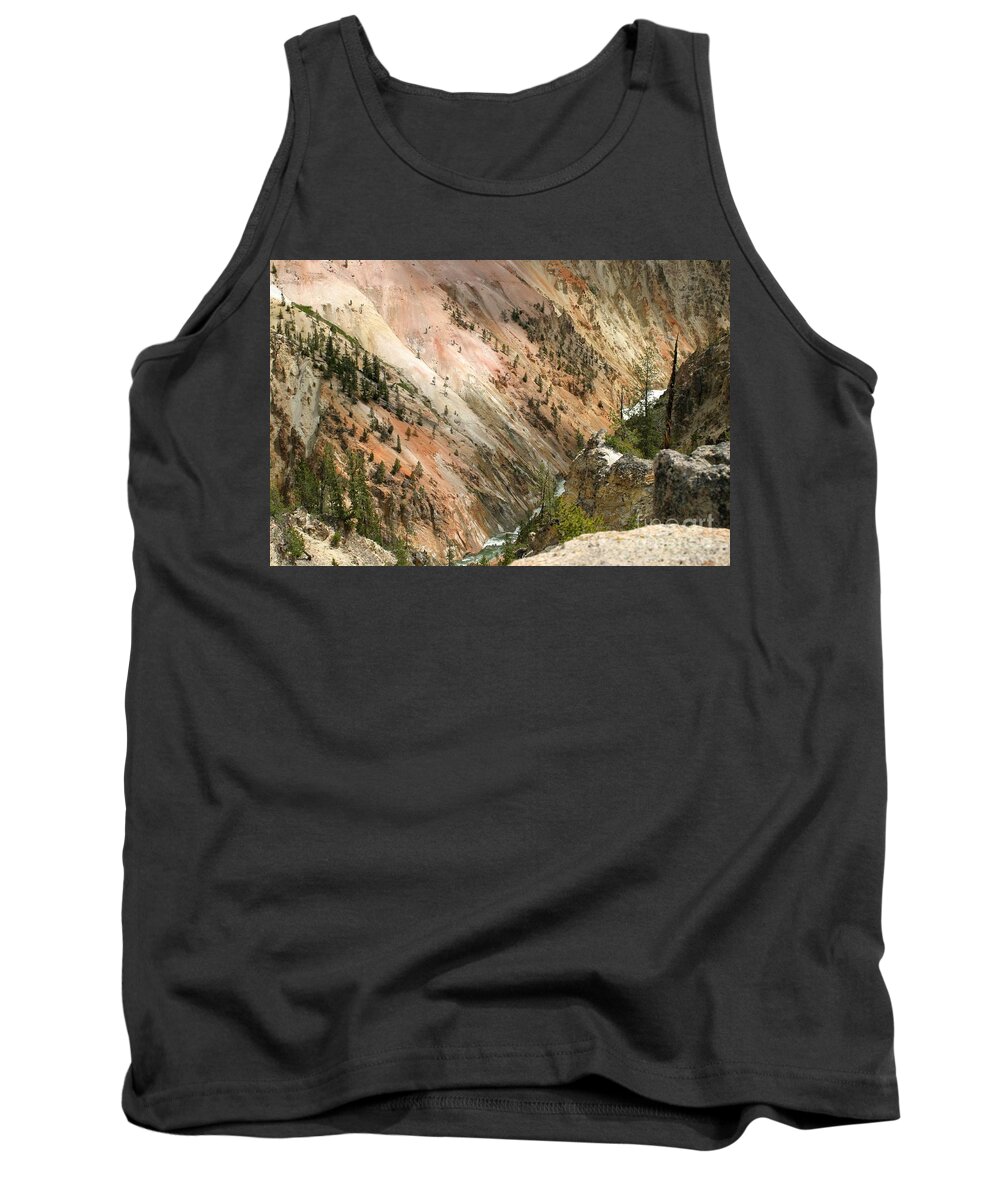 Grand Canyon Tank Top featuring the photograph Sunshine On Grand Canyon In Yellowstone by Living Color Photography Lorraine Lynch