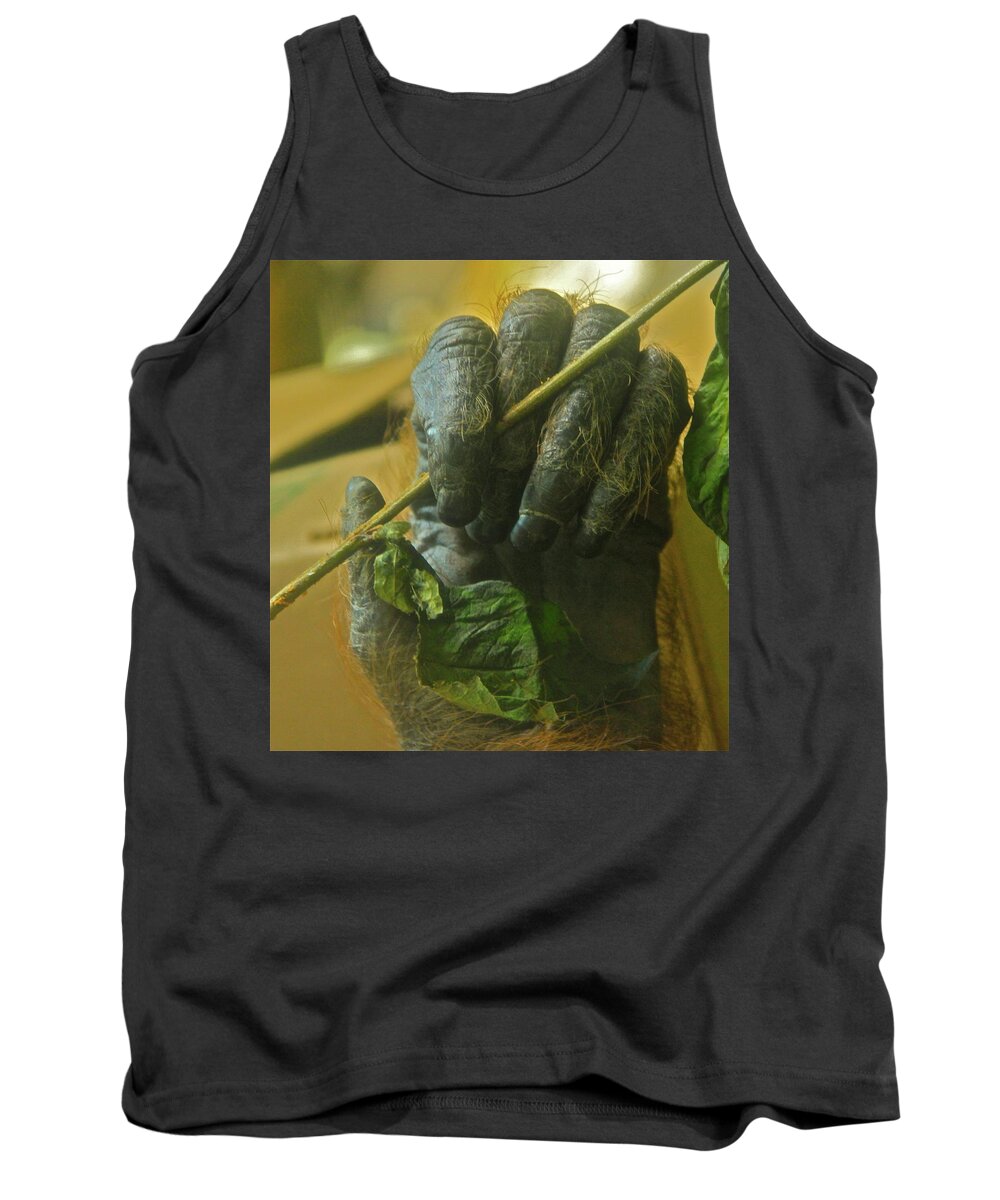 Orangutan Tank Top featuring the photograph The Hands by Laddie Halupa