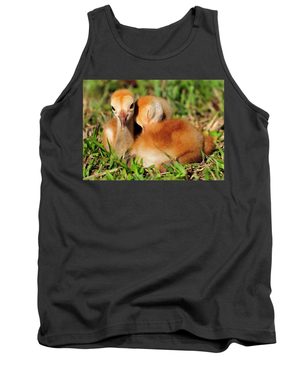 Sandhill Crane Tank Top featuring the photograph Together by Bill Dodsworth