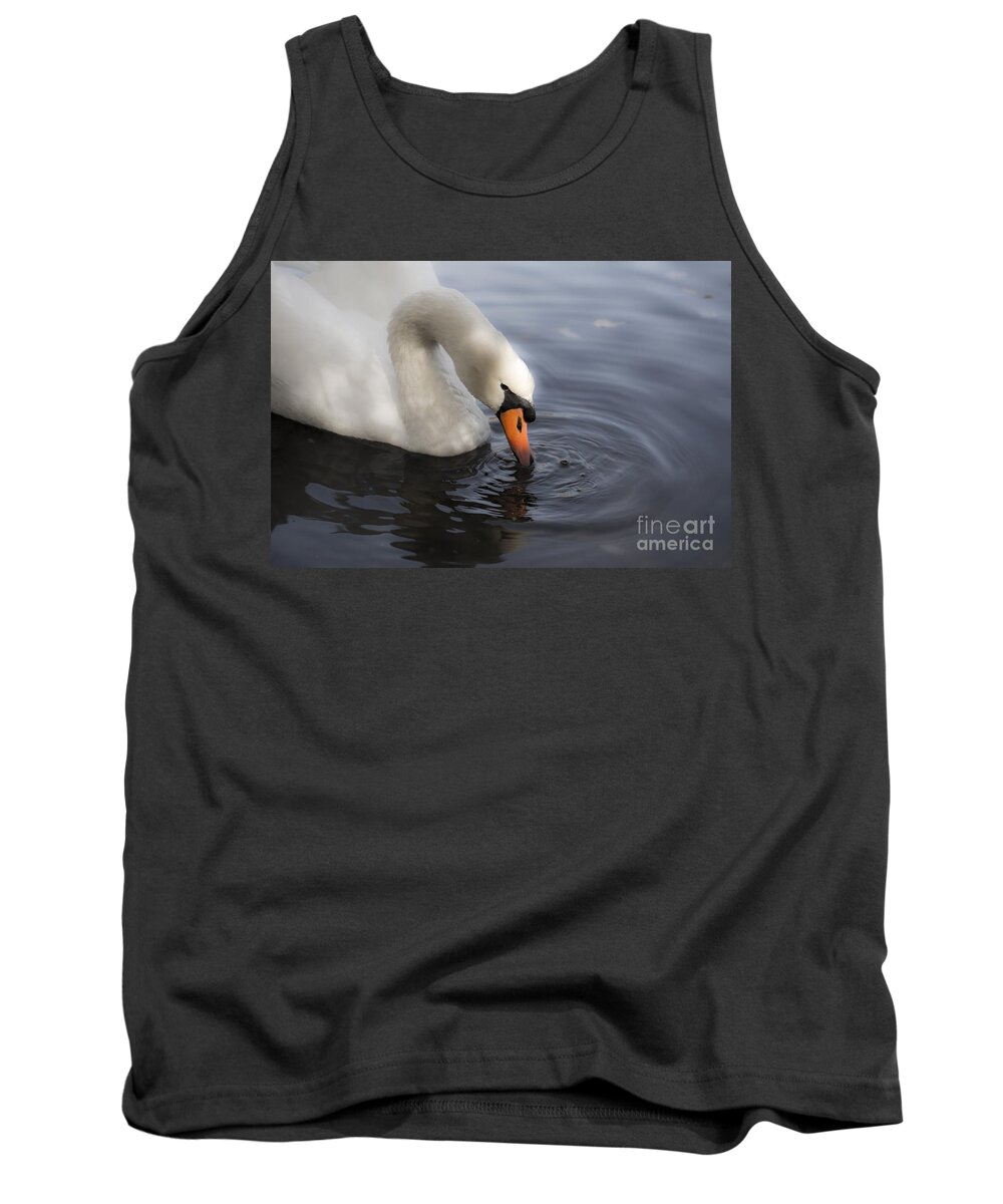 Tranquil Tank Top featuring the photograph Tranquil by Leslie Leda