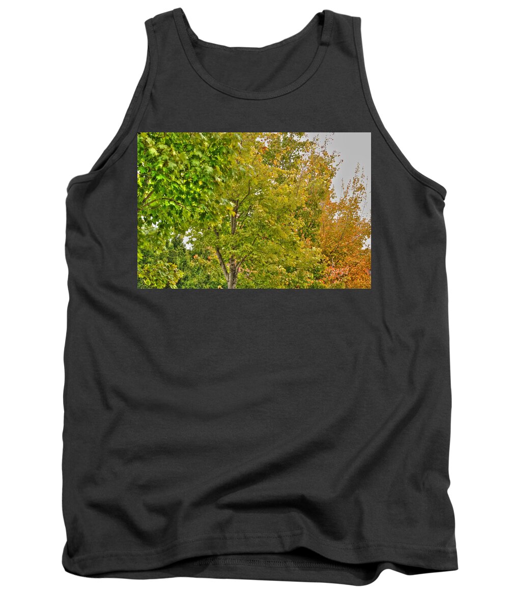  Tank Top featuring the photograph Transition of Autumn Color by Michael Frank Jr