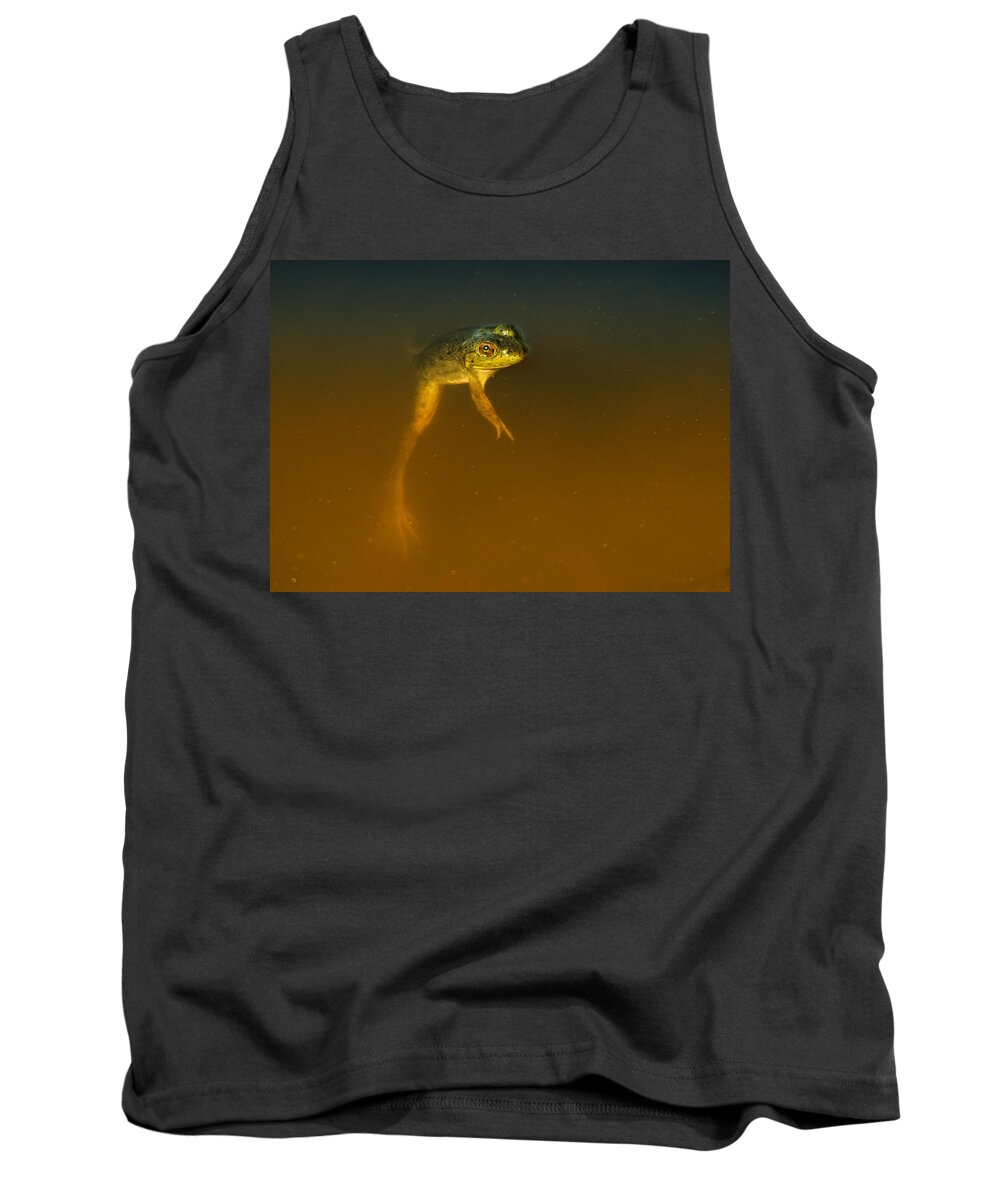 Frog Tank Top featuring the photograph Weightless by Sue Capuano