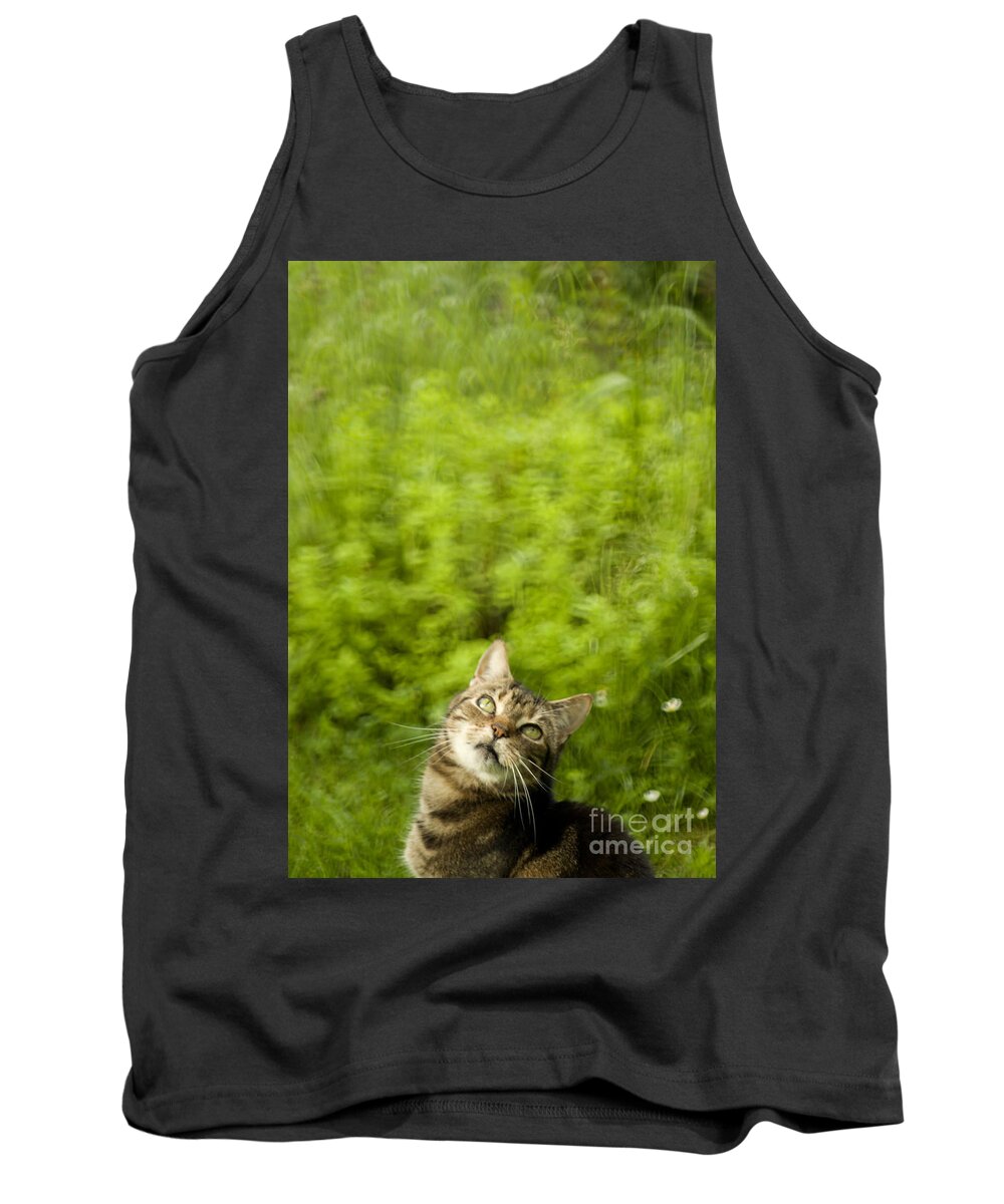 Cat Tank Top featuring the photograph What is up there by Ang El