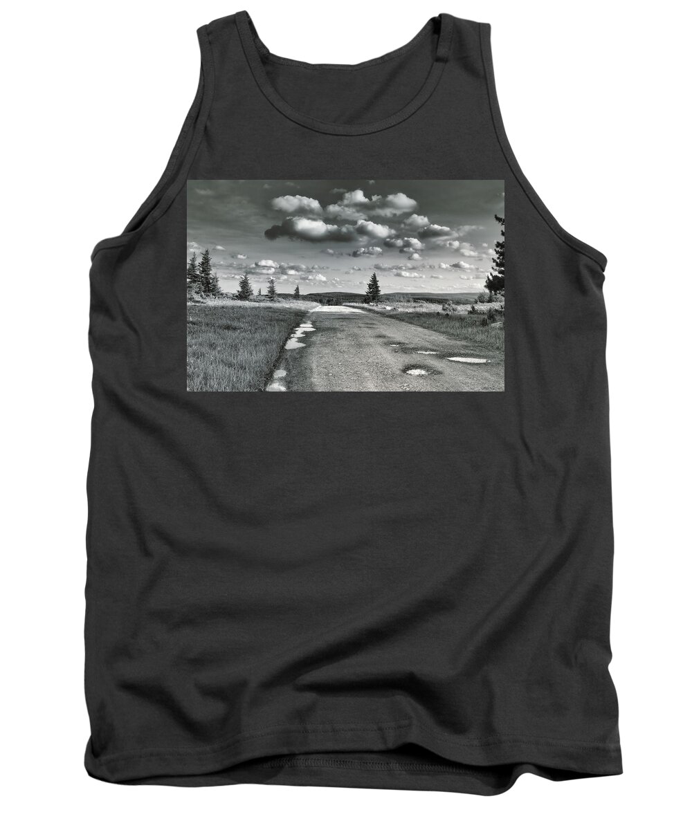 Dolly Sods Tank Top featuring the photograph Winding Road by Mary Almond