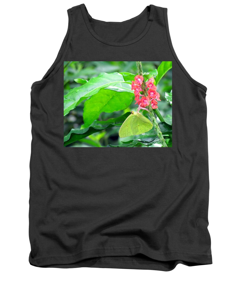 Nature Tank Top featuring the photograph Yellow Sulphur on Porterweed by Judy Wanamaker