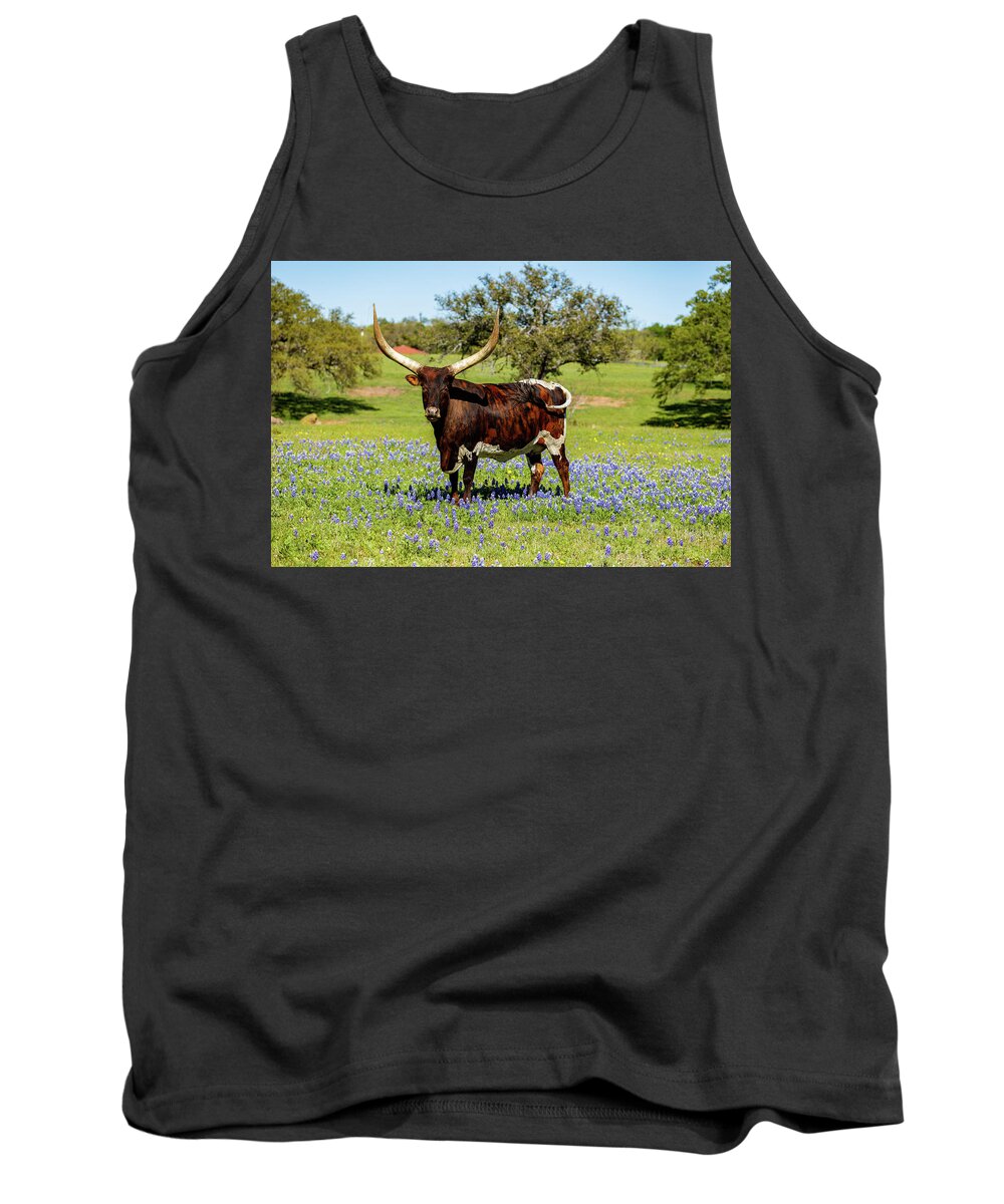 African Breed Tank Top featuring the photograph Beautiful longhorn bull #1 by Raul Rodriguez