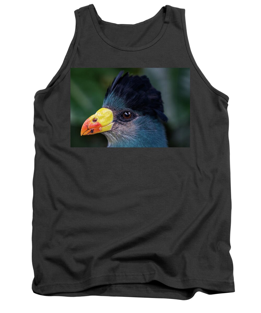 Jay Stockhaus Tank Top featuring the photograph Bird Face #1 by Jay Stockhaus