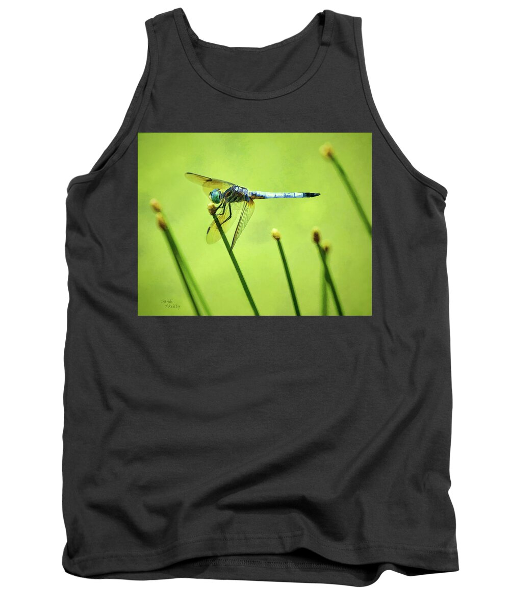 Blue Dasher Dragonfly Tank Top featuring the photograph Blue Dasher Dragonfly #2 by Sandi OReilly