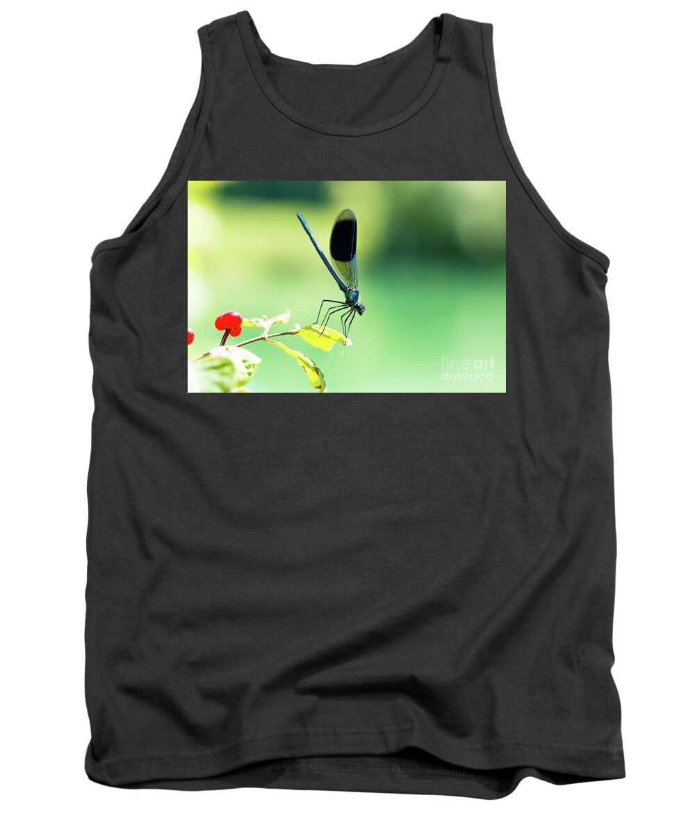 Countryside Tank Top featuring the photograph Broad-winged Damselfly, Dragonfly by Amanda Mohler