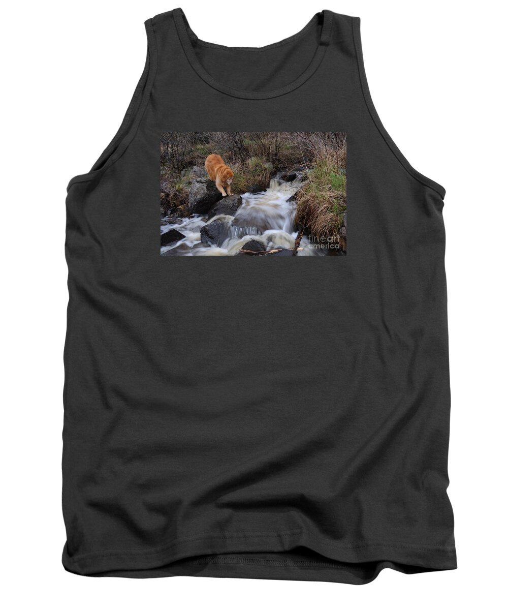 Dogs Tank Top featuring the photograph But Mom I Might Get My Feet Wet #1 by Sandra Updyke