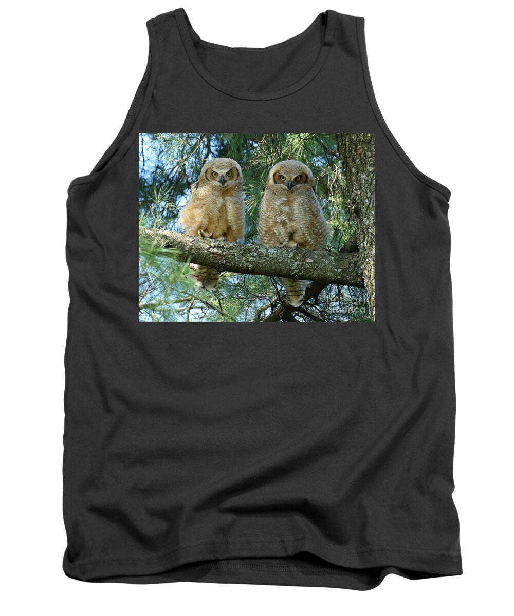 Owlets Tank Top featuring the photograph Double Trouble #1 by Heather King