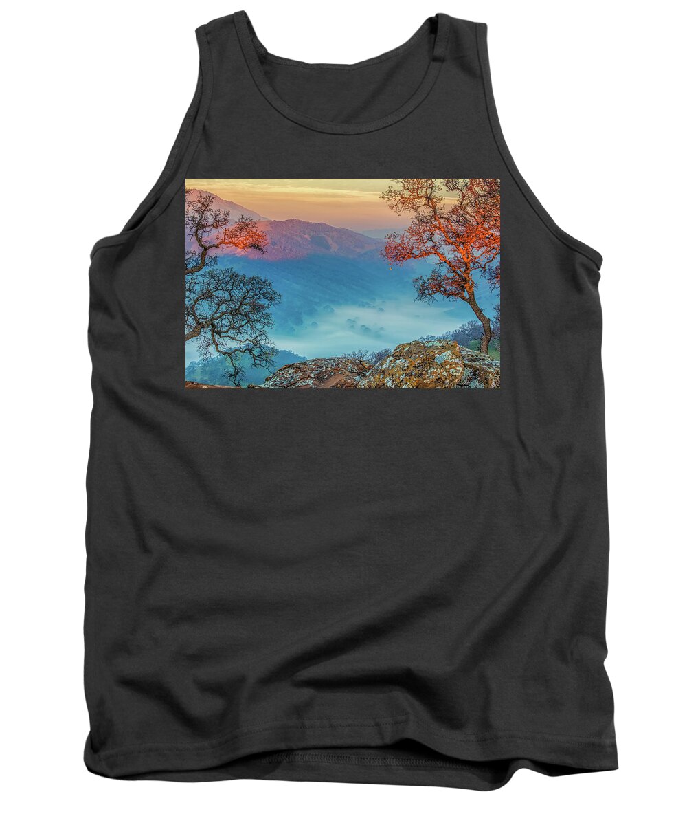 Landscape Tank Top featuring the photograph Fog in the Valley #1 by Marc Crumpler