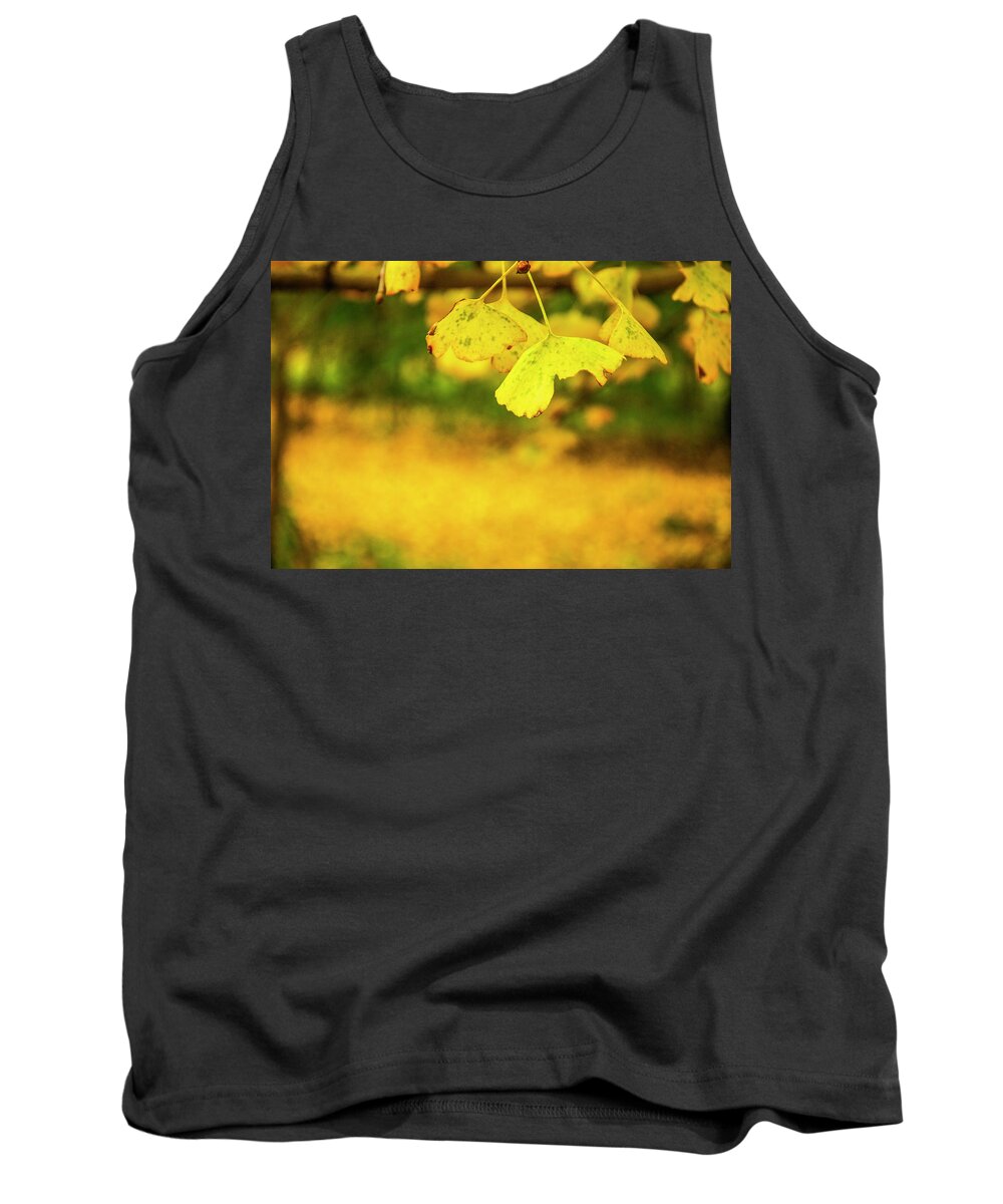 Leaf Tank Top featuring the photograph Ginkgo tree leaves in autumn #1 by Carl Ning