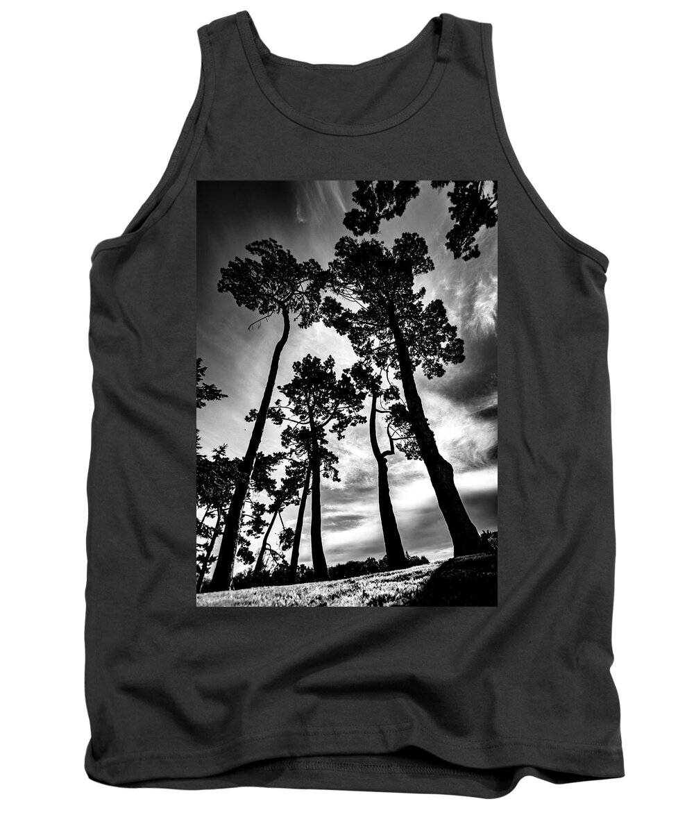 Tree Tank Top featuring the photograph Leaning Trees by Roseanne Jones