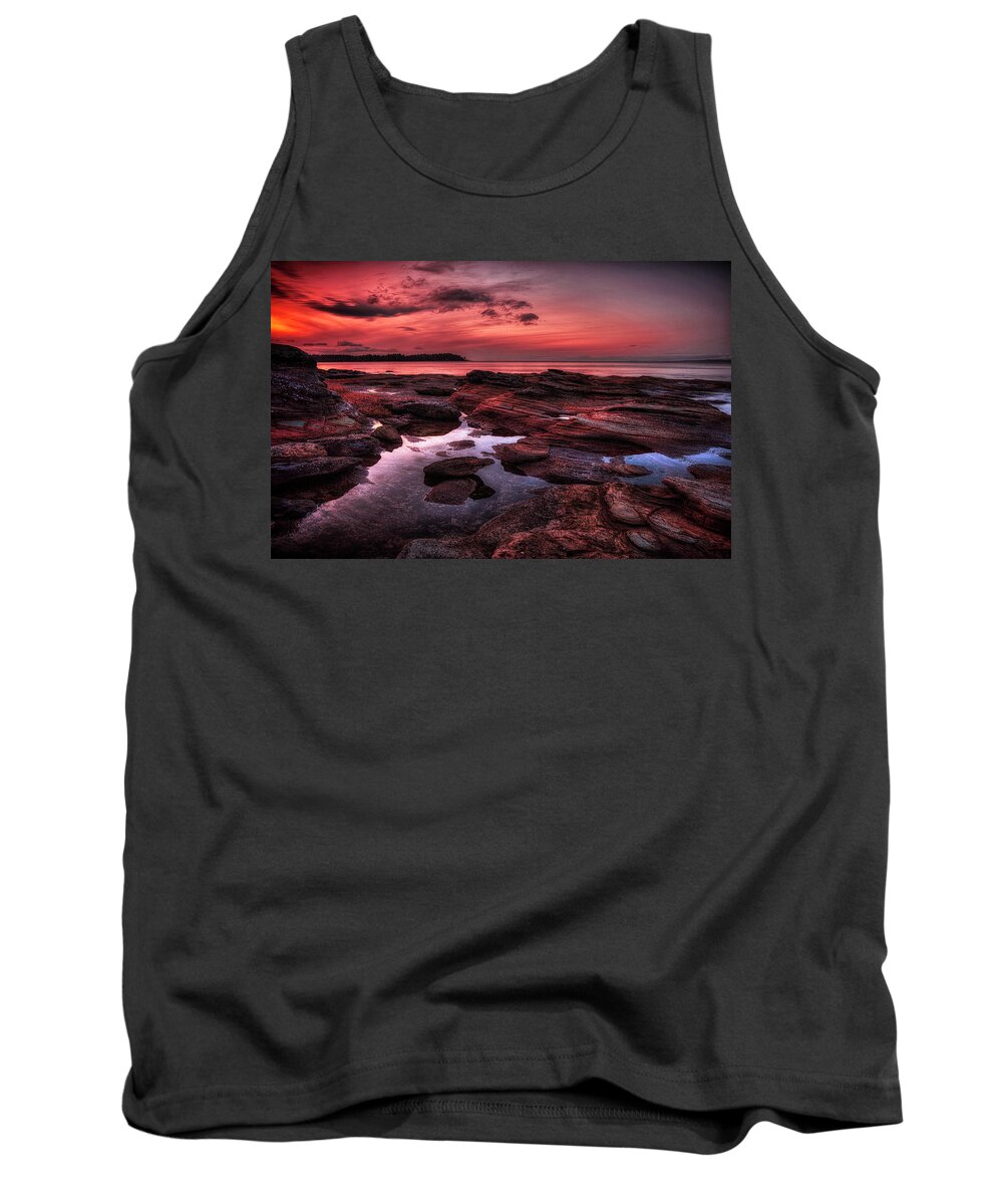 Madrona Point Tank Top featuring the photograph Madrona #1 by Randy Hall