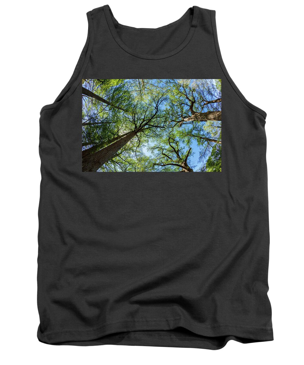 Austin Tank Top featuring the photograph Majestic Cypress Trees by Raul Rodriguez