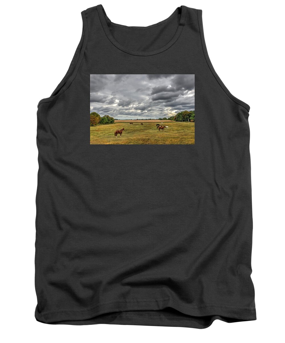 Horses Tank Top featuring the photograph Maryland Pastures #1 by Patrick Wolf