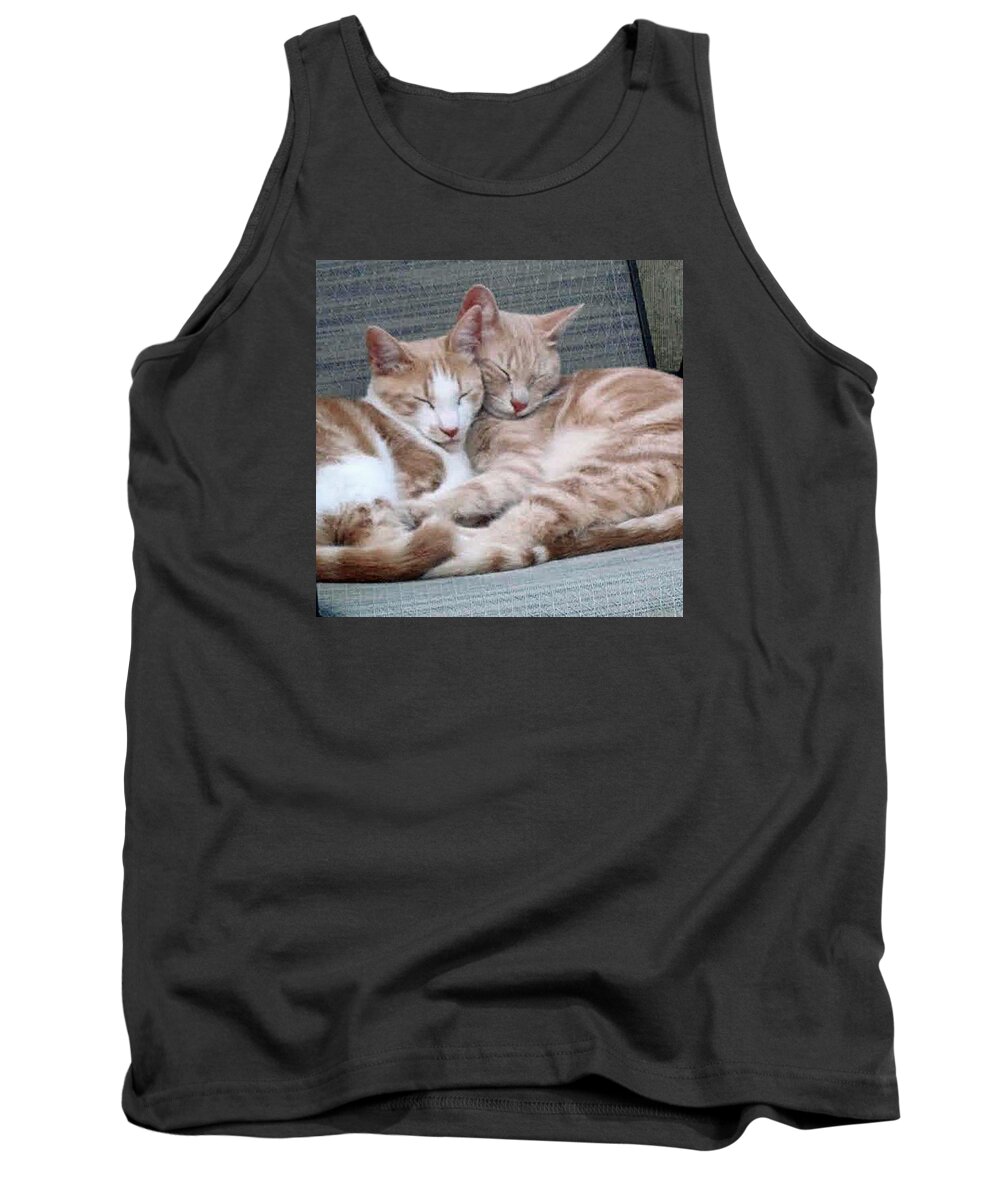 Cat Tank Top featuring the photograph Nap Time #1 by Bob Johnson